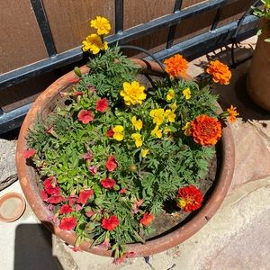 Meet your Posher, Deanna